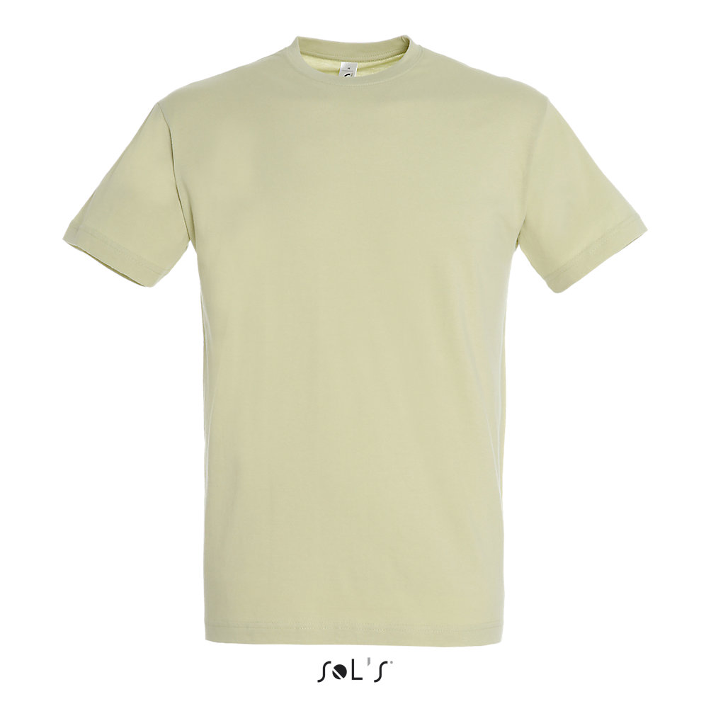 Фуфайка (футболка) REGENT мужская,Зеленый шалфей XXL